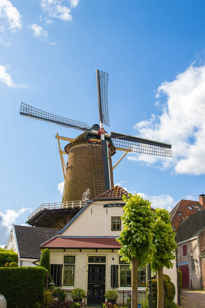 Webdesign Wijk bij Duurstede