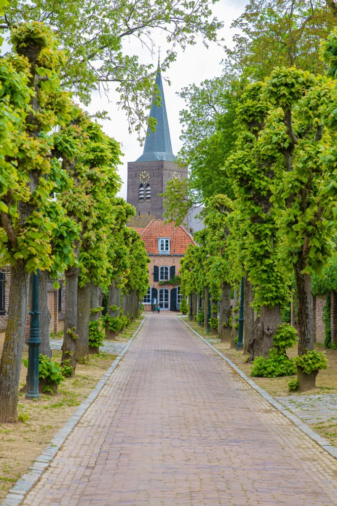 Webdesign Wijk bij Duurstede